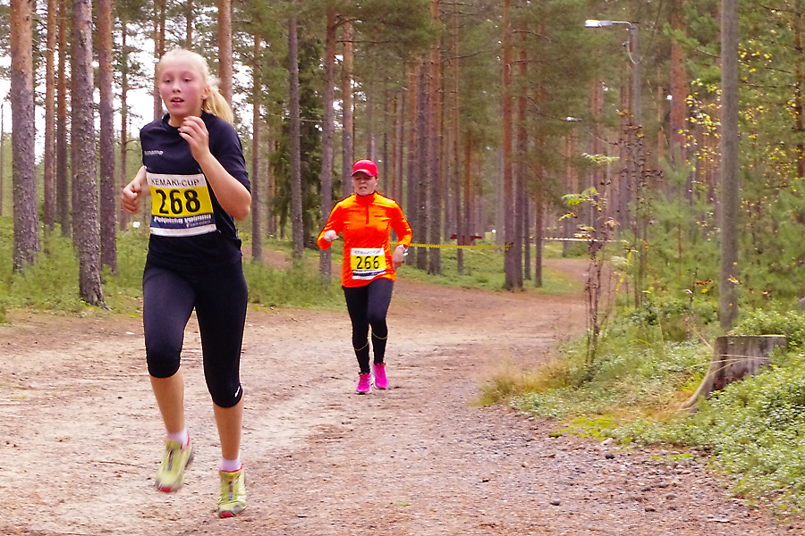 Pertin hiihto kuva $i